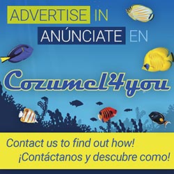 Advertise with Cozumell4You