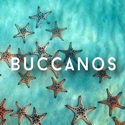 Buccanos Cozumel