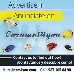 Advertise in Cozumel 4 YOu