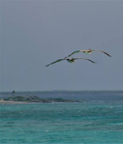 mother's day in Cozumel