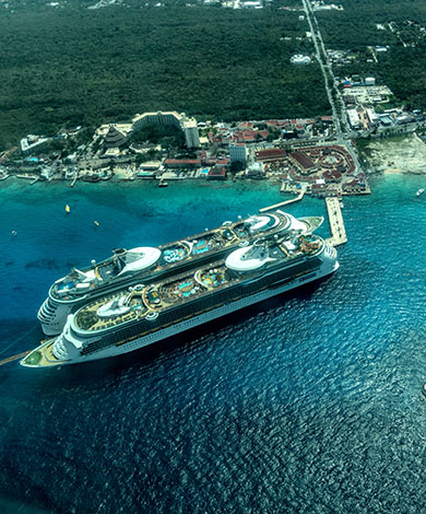 Cruise Cozumel Blue Crab