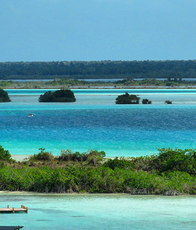 Bacalar