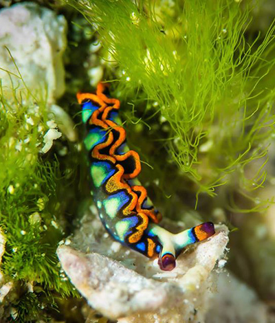 Cozumel Marine Park