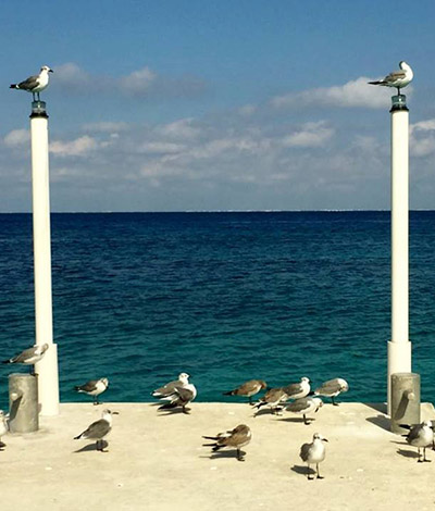 Cozumel Downtown Pier