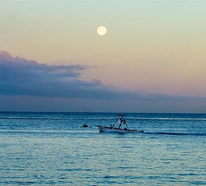 Fred Boehm Cozumel