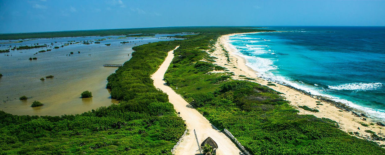 Fred Boehm Cozumel PUnta Sur