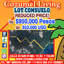 Cozumel Living