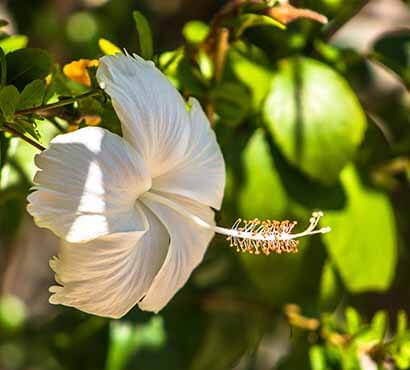 Fred Boehm Cozumel