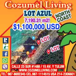 Cozumel Living