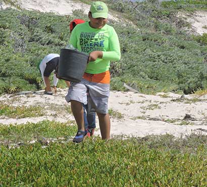 Cozumel Nature