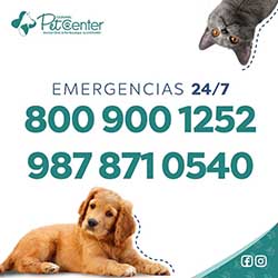 Pet Center Cozumel