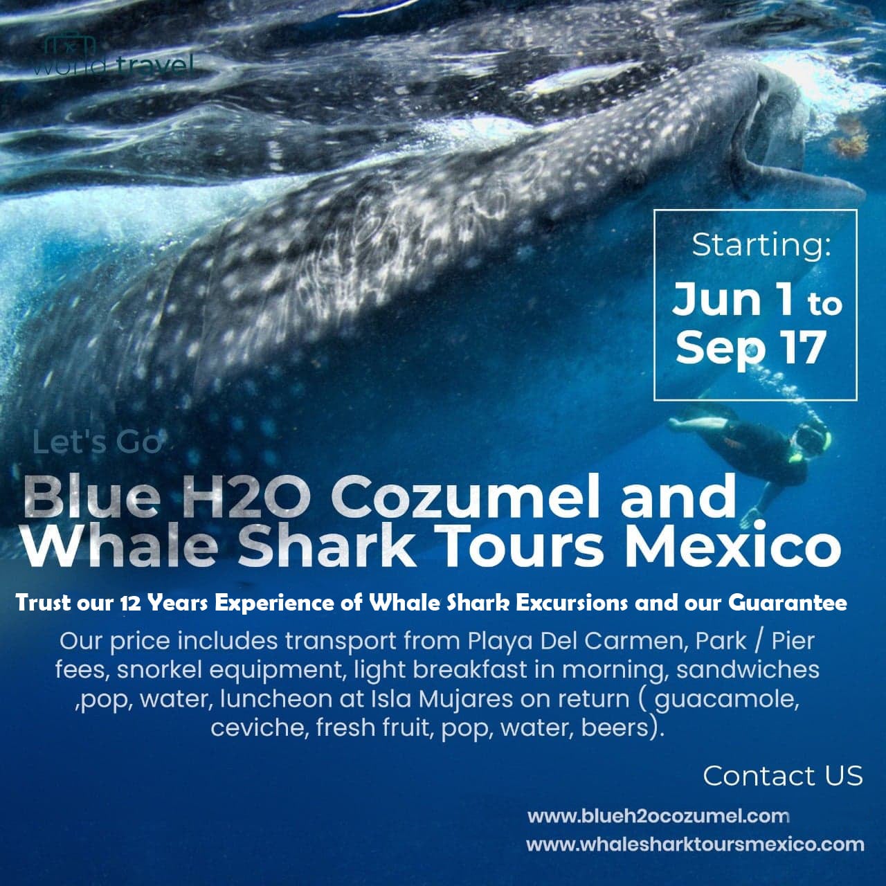 Blue Water H2o Whale Shark Tours