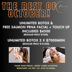 Renew by Rebel Pilates