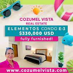 Cozumel Vista Real Estate