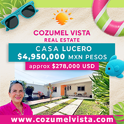 Cozumel Vista Real Estate