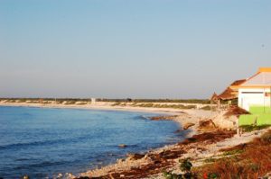 Photo by Leo Pardo Rojo