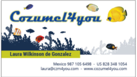 Welcome to the New Cozumel 4 You