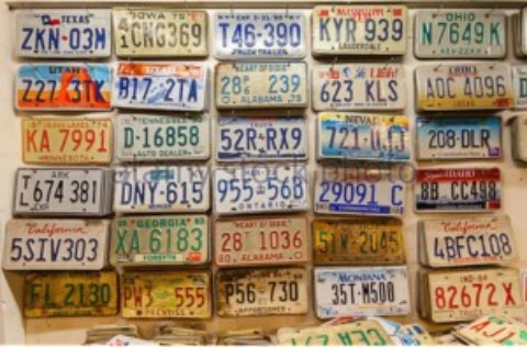 Cozumel License Plates