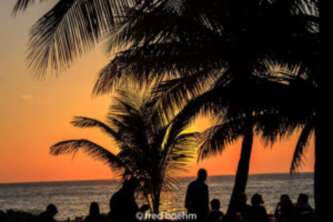 36 Cruise Ships Cozumel Week