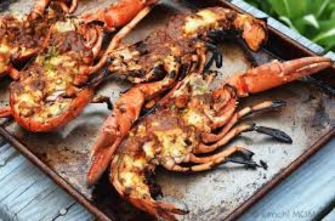 Lobster Prices on the Rise
