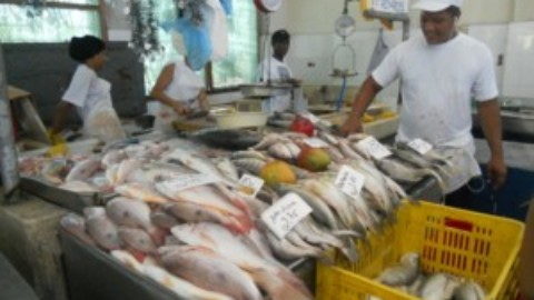 Seafood Cozumel