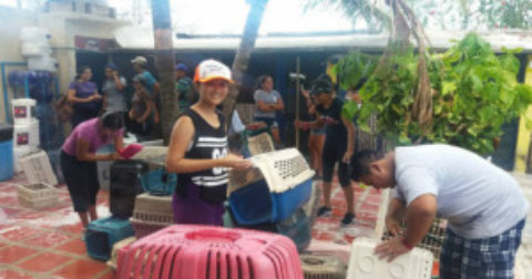 Humane Society of Cozumel Island Volunteer Program