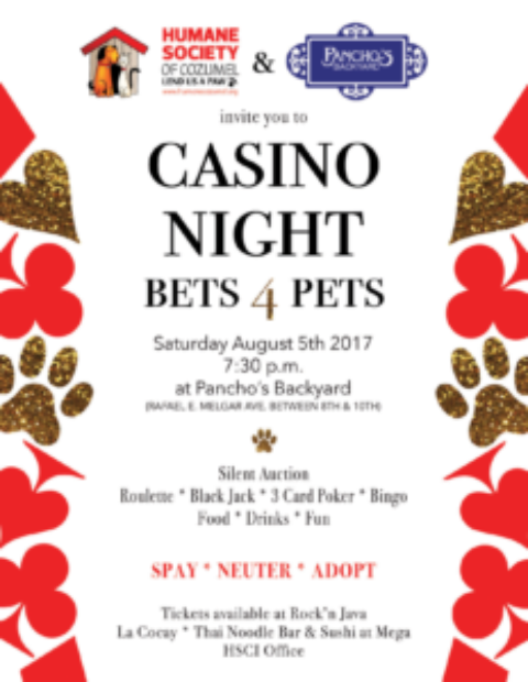 Casino Night