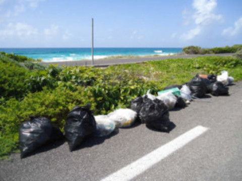 Cozumel Ecological Footprint