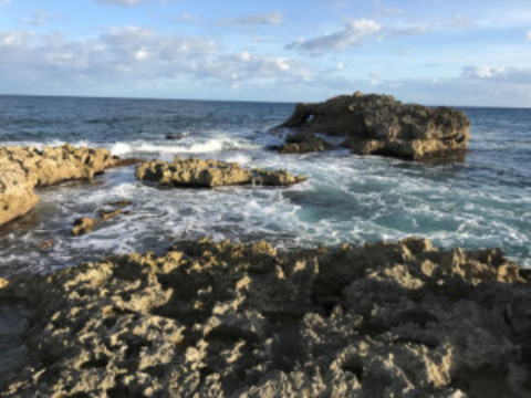 Cozumel Coral Reefs