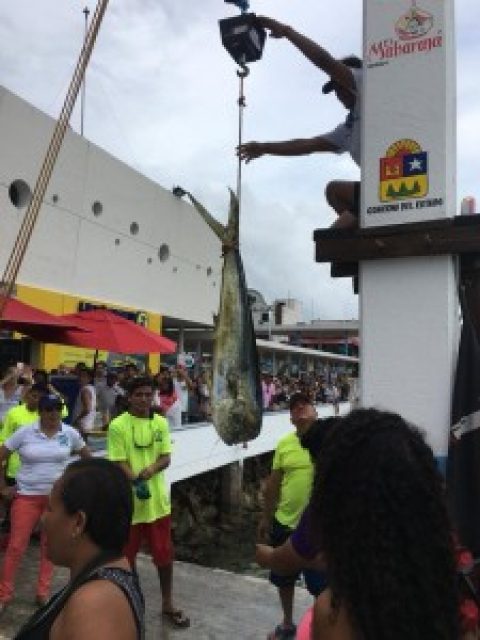 Cozumel Fishing Tournament COVID