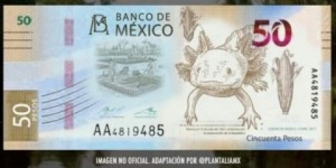 Mexican Currency