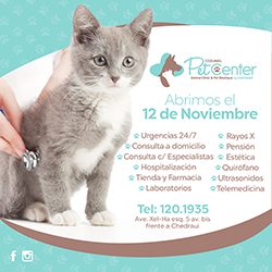 Cozumel Pet Care - Cozumel 4 You