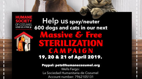 HSCI Announces 2019 Sterilization Campaign
