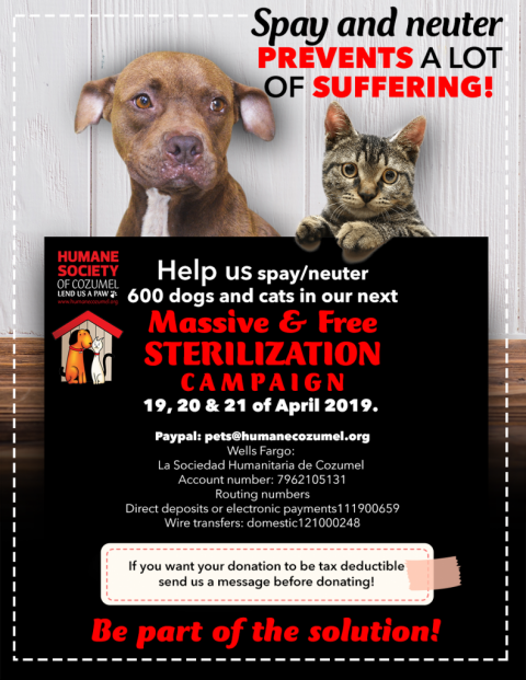 HSCI Announces 2019 Sterilization Campaign