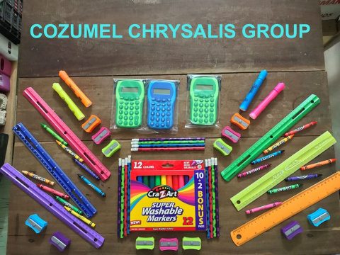 Cozumel Chrysalis Group On-Line Auction