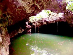 Cozumel Cenotes