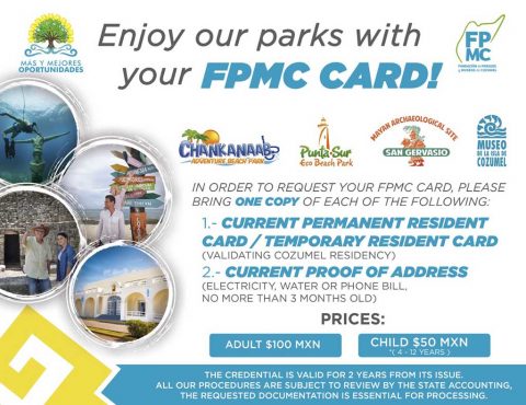 FPMC Card