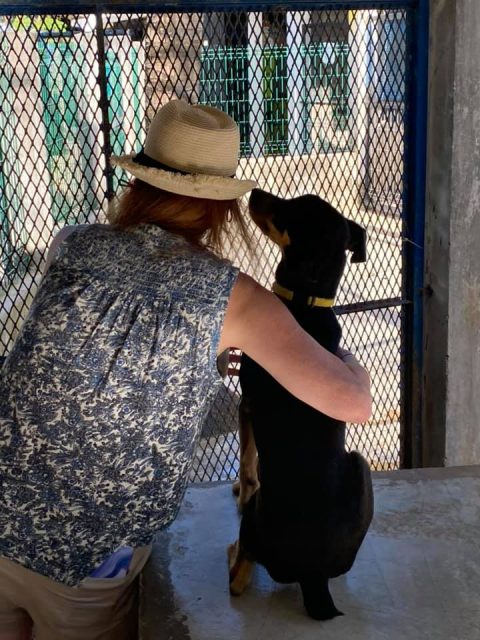 Humane Society of Cozumel Island