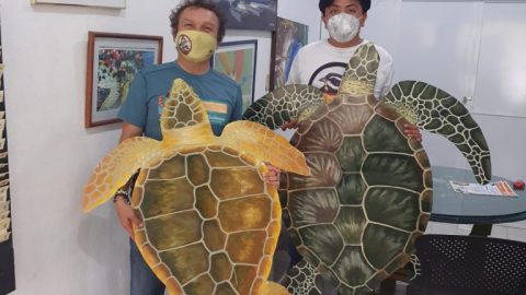 2021 Cozumel Turtle Nesting Season