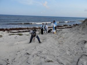 2022 Cozumel Turtle Nesting Season