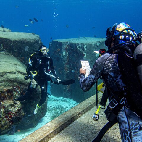 Selecting Dive Shop Cozumel