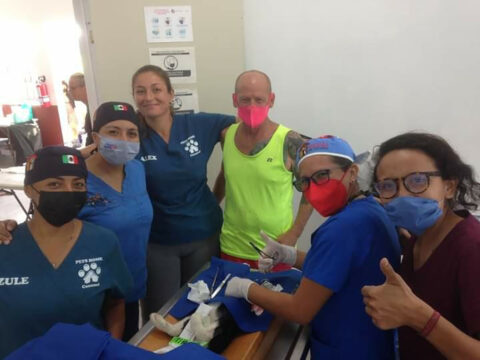 Humane Society Cozumel Services