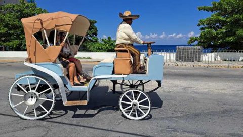 Cozumel Electric Horse Carriages