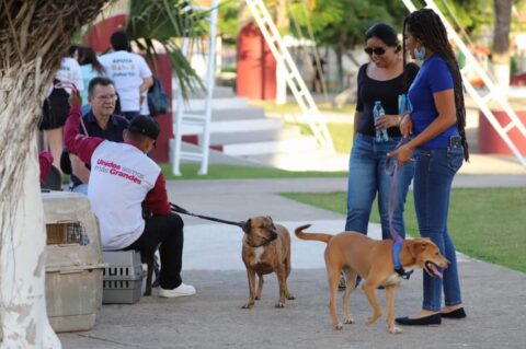 Cozumel News Karina Carrion Pets Adoption