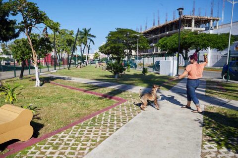 Cozumel News Karina Carrion Cozumel Dog Park