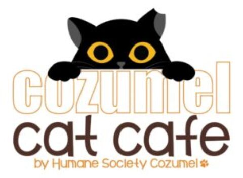 Humane Society Cozumel Cat Cafe