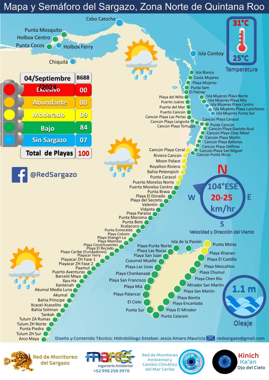 Sargassum Cozumel Cozumel4You sargassum-cozumel-cozumel4you