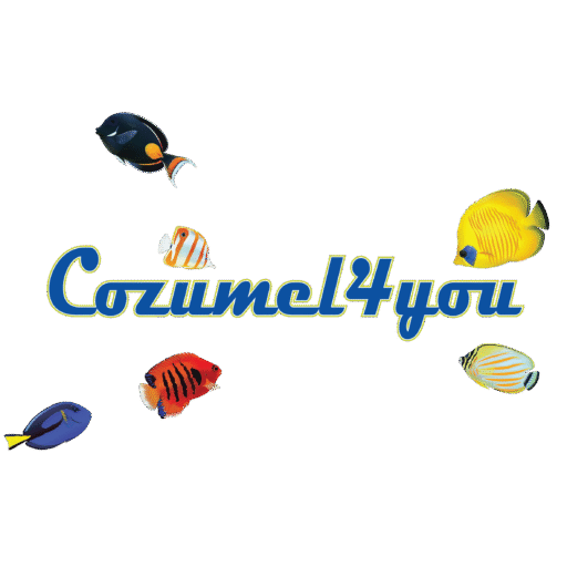 Cozumel4You - Cozumel’s Premier Source for News & Information logo