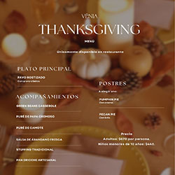 Venia Mexican Comfort Food
                                                                       