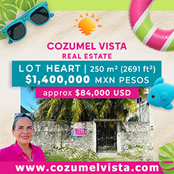 Cozumel Vista Real Estate